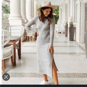 WAYF Emily x Dede collab gray sweater dress